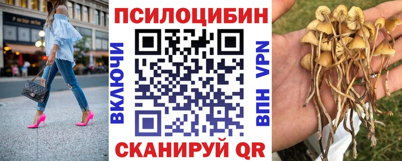 Галлюциногенные грибы Psilocybine cubensis  купить наркотик  Белогорск 