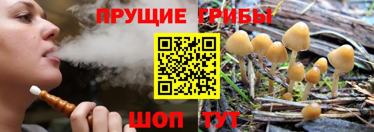 Белогорск  дарнет шоп  Вход с VPN  Псилоцибиновые грибы Cubensis 